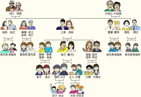 血缘关系图